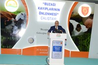 Buzağı Kayıplarının Önlenmesi Çalıştayı Yapıldı