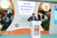 Buzağı Kayıplarının Önlenmesi Çalıştayı Yapıldı